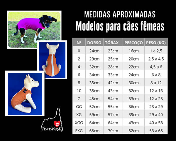 Roupas pós-cirúrgicas abdominais para cães fêmeas