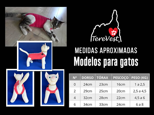Roupas pós-cirúrgicas abdominais para gatos